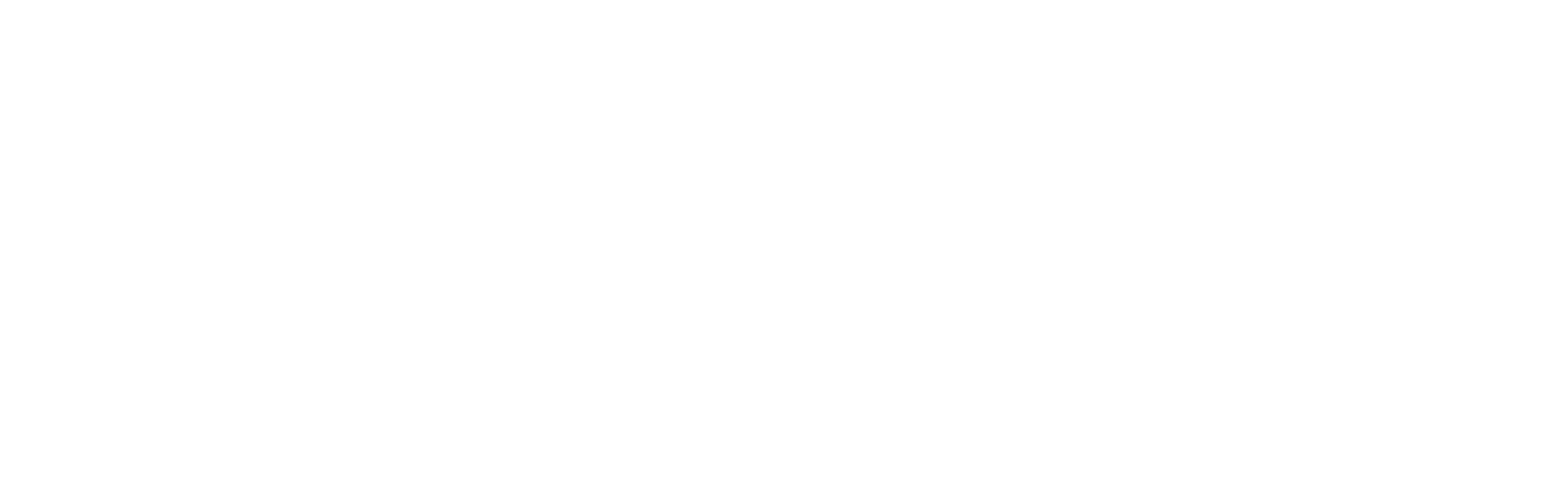 Christie's International Real Estate Mexico Luxury Properties Logo